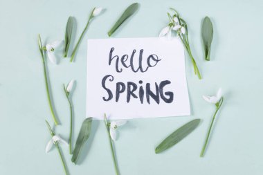 Açık yeşil arkaplanda kar damlalarıyla süslenmiş bahar yazı kaligrafisi..