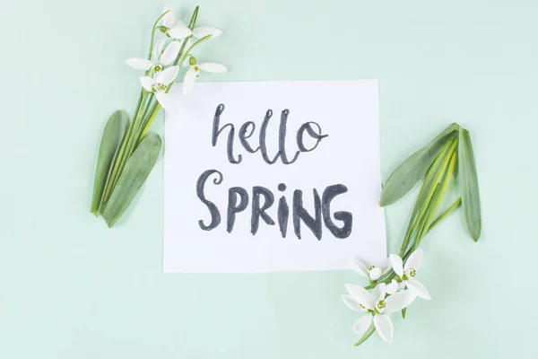 Hello Spring Calligraphy Note Decorated Snowdrops Light Green Background — Stock Photo, Image