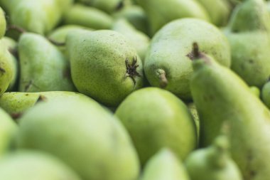 Sonbahar günü seçilen yeşil armutların seçici odak ve tam çerçeve fotoğrafçılığı