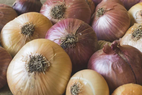 Full frame photo of colorful , organic onions from countryside's garden. Selective focus