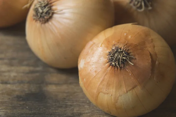 Macro Photography Fresh Organic Onion Picked Garden — Stock Photo, Image