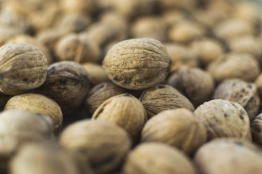 Kabuklu taze ceviz. Seçici odak ve tam çerçeve.