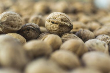 Kabuklu taze ceviz. Seçici odak ve tam çerçeve.