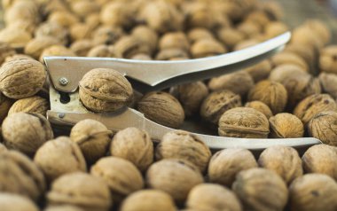 Bir demet taze ceviz üzerinde fındık kırma aracı.