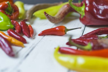 Eski beyaz ahşap masa üzerinde çeşitli renkli ve taze biber türleri (paprika).