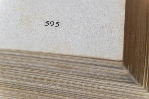 Makro Kép Sárga Képek Régi Nagy Könyv Lapozott Oldalon 595 — Stock Fotó