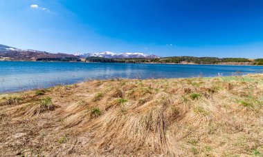 Sırbistan 'ın güneyindeki Vlasina Gölü kıyılarının bahar başlarında panoramik manzarası