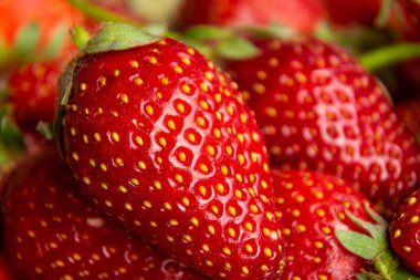 Yakın çekim ve taze kırmızı çileklerin seçici odak fotoğrafı