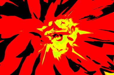 renkli çiçek desenli