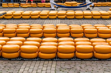 Alkmaar, Hollanda peynir pazarı