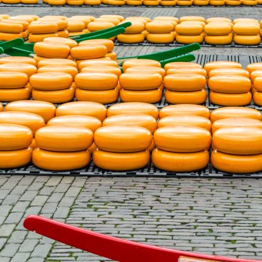 Alkmaar, Hollanda peynir pazarı