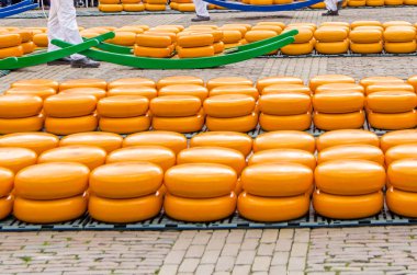 Alkmaar, Hollanda peynir pazarı