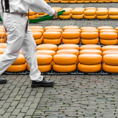 Alkmaar, Hollanda peynir pazarı