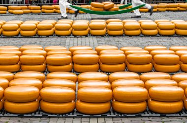 Alkmaar, Hollanda peynir pazarı