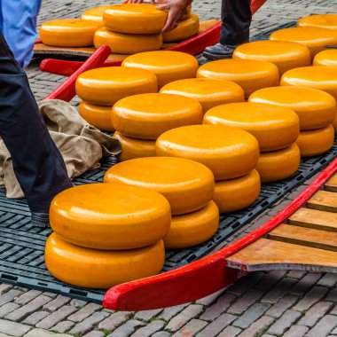 Alkmaar, Hollanda peynir pazarı