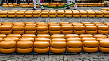 Alkmaar, Hollanda peynir pazarı