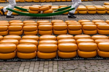 Alkmaar, Hollanda peynir pazarı