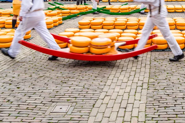 Cheese market in Alkmaar, the Netherlands