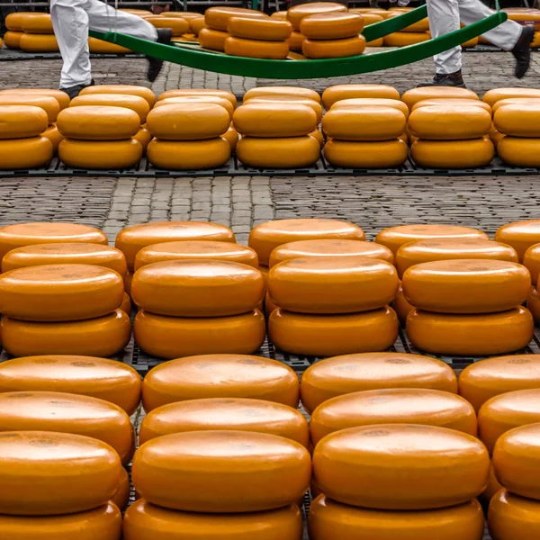 Alkmaar, Hollanda peynir pazarı