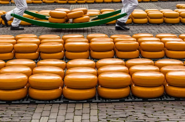 Queijos em Alkmaar, Países Bajos — Fotografia de Stock