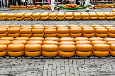 Geleneksel Hollanda peynir pazarı Alkmaar, Hollanda
