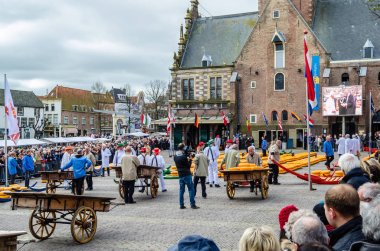 Geleneksel Hollanda peynir pazarı Alkmaar, Hollanda