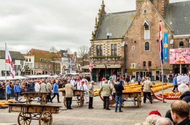 Geleneksel Hollanda peynir pazarı Alkmaar, Hollanda