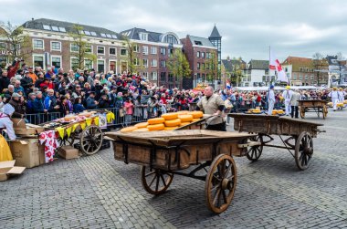 Geleneksel Hollanda peynir pazarı Alkmaar, Hollanda