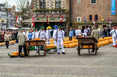Geleneksel Hollanda peynir pazarı Alkmaar, Hollanda
