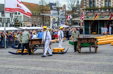 Geleneksel Hollanda peynir pazarı Alkmaar, Hollanda