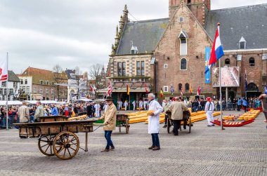 Geleneksel Hollanda peynir pazarı Alkmaar, Hollanda