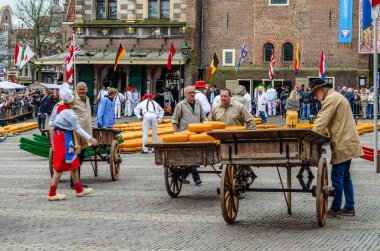 Geleneksel Hollanda peynir pazarı Alkmaar, Hollanda