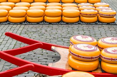 Geleneksel Hollanda peynir pazarı Alkmaar, Hollanda