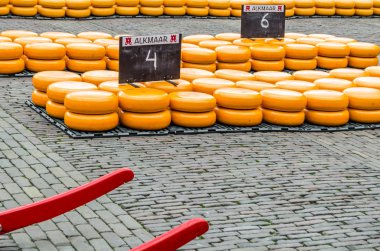 Geleneksel Hollanda peynir pazarı Alkmaar, Hollanda
