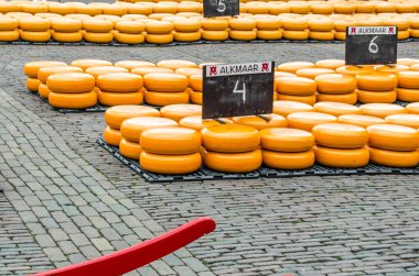 Geleneksel Hollanda peynir pazarı Alkmaar, Hollanda