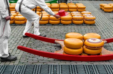 Geleneksel Hollanda peynir pazarı Alkmaar, Hollanda