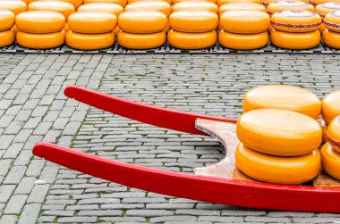 Geleneksel Hollanda peynir pazarı Alkmaar, Hollanda