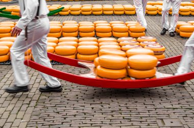 Geleneksel Hollanda peynir pazarı Alkmaar, Hollanda