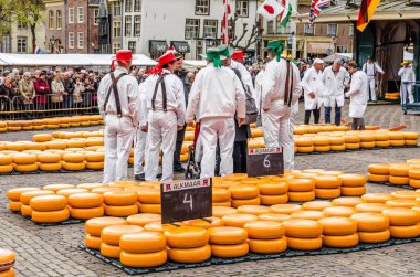 Geleneksel Hollanda peynir pazarı Alkmaar, Hollanda