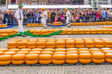 Geleneksel Hollanda peynir pazarı Alkmaar, Hollanda
