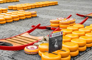 Geleneksel Hollanda peynir pazarı Alkmaar, Hollanda