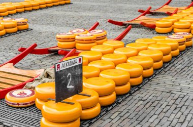 Geleneksel Hollanda peynir pazarı Alkmaar, Hollanda