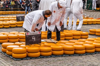 Geleneksel Hollanda peynir pazarı Alkmaar, Hollanda