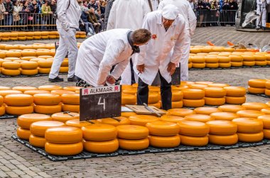 Geleneksel Hollanda peynir pazarı Alkmaar, Hollanda
