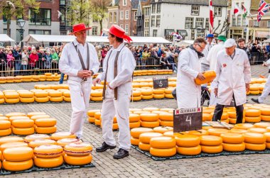 Geleneksel Hollanda peynir pazarı Alkmaar, Hollanda
