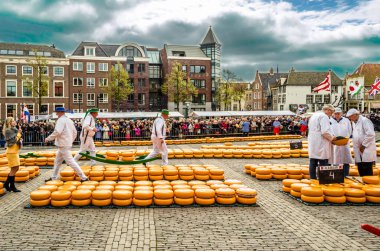 Geleneksel Hollanda peynir pazarı Alkmaar, Hollanda