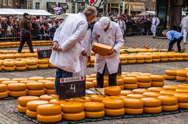 Geleneksel Hollanda peynir pazarı Alkmaar, Hollanda