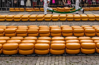 Geleneksel Hollanda peynir pazarı Alkmaar, Hollanda