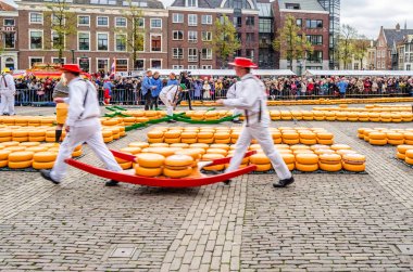 Geleneksel Hollanda peynir pazarı Alkmaar, Hollanda