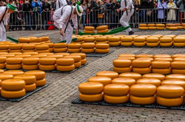 Geleneksel Hollanda peynir pazarı Alkmaar, Hollanda